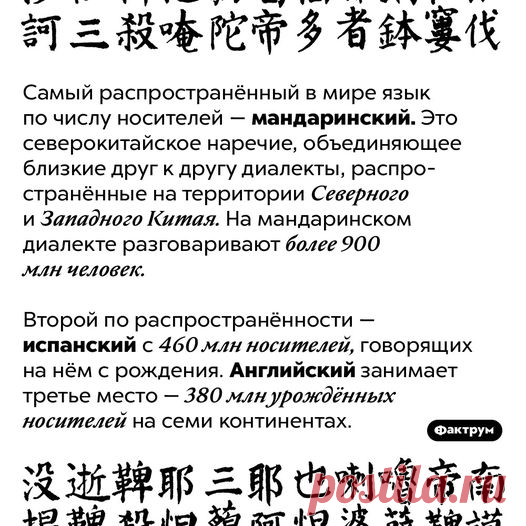 (6) Facebook