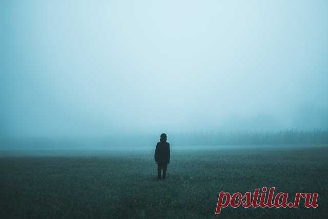 «Всё будет так же после нас. А нас не будет» — пронзительно-щемящее стихотворение Андрея Дементьева
Просто и гениально. Всё будет так же после нас. А нас не будет. Когда нам жизнь сполна воздаст, У мира не убудет. По небу скатится звезда Слезой горючей. И не останется следа. Обычный случай. Я вроде смерти не боюсь, Хотя нелепо Порвать загадочный союз Земли и неба. Пусть даже ниточкой одной, Едва заметной, Став одинокой […]
Читай пост далее на сайте. Жми ⏫ссылку выше