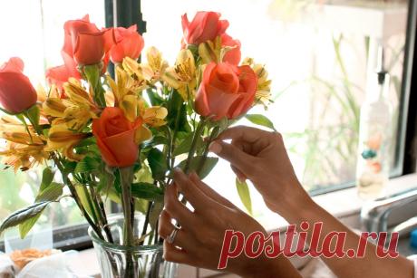 Как оживить увядшие цветы &amp;raquo; Женский Мир