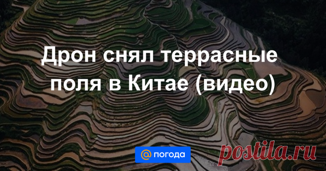 Дрон снял террасные поля в Китае (видео) Живописная мозаика.