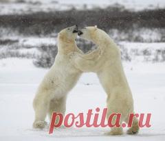 27 февраля отмечается 