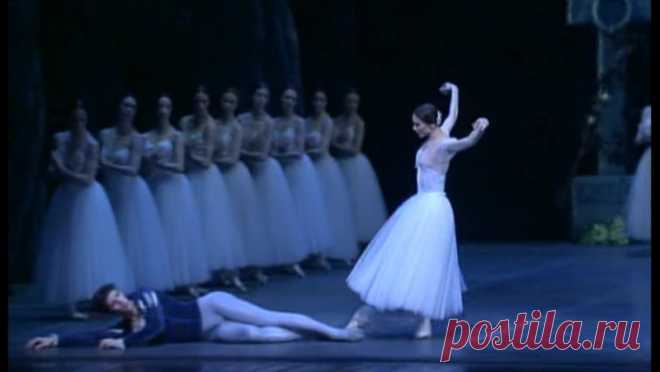 Премьер театра La Scala и American Ballet Theatre.
Роберто Болле звезда мирового балета

1. Эксельсиор.
2. Сон в летнюю ночь.
3. Жизель.
4. Собор Парижской Богоматери.
5. Спящая красавица.
6. Сильвия.