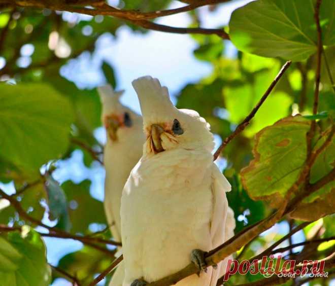 (2) Facebook
