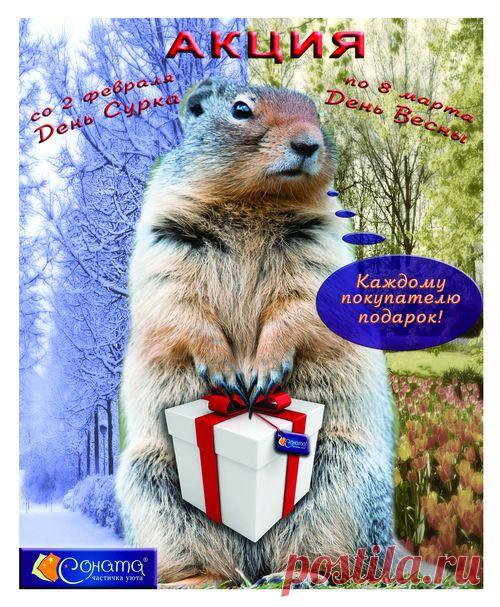 Добро пожаловать - sonata.ua