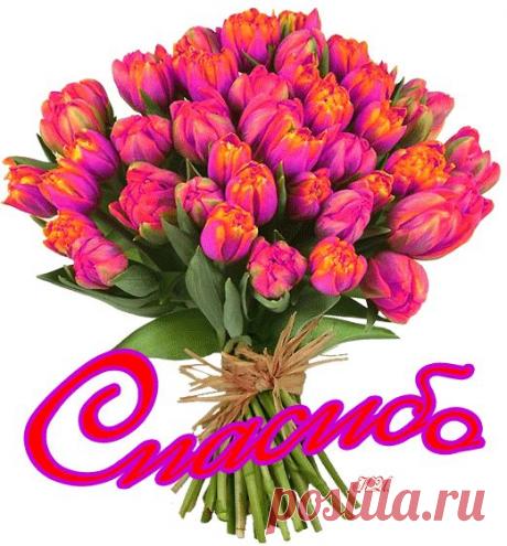 Белковый + овощи = Круиз ВЫПЕЧКА диета д. Дюкана: : Дневники - diets.ru