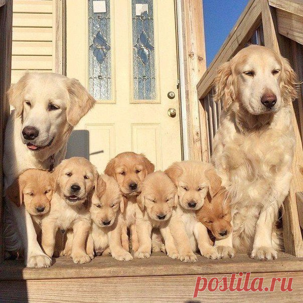 Борис Сашенькин