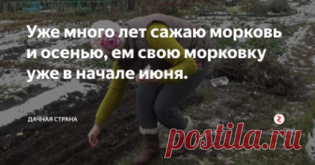 Уже много лет сажаю морковь и осенью, ем свою морковку уже в начале июня. Преимущества осенней посадки моркови очевидны.
Свою  морковь я  ем уже в  начале июня,  когда на  посаженной весной моркови, только всходит ботва.  Да и вырастает морковка ровная, сочная,  не атакуют ее в этот период и  вредители.  Еще плюс: поливать ее практически не надо. Талые воды делают свое дело за вас.
Есть только один минус -   такая морковь не годится для хранения.
Далеко  не все семена м