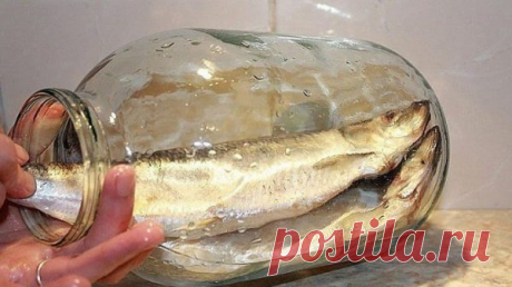 Больше не покупаю магазинную соленую селедку. Этот рецепт засолки селедки самый вкусный
Как засолить селедку Буквально вчера соседка у меня спросила: «А ты не знаешь, как засолить селедку?» Я признаюсь удивлена, что до сих пор она покупает селедку в магазине. Я солю ее сама уже много лет, и не признаю магазинной. С такой селедкой и шубу делаю, и так просто к картошечке. Ну куда уж нам без селедки, в […]
Читай пост далее на сайте. Жми ⏫ссылку выше