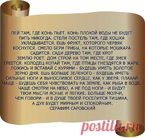 Светлана Архипова
Спасибо тем, кто выложил это!