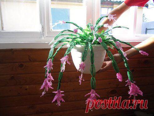 (1) Одноклассники