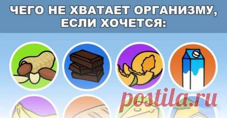 Чего не хватает организму, когда он требует чего-то особенного Организм человека — совершенная система, которая четко контролирует работу всех органов. И если он начинает испытывать нехватку определенного вещества, то начинает сигналить о возможных проблемах со з