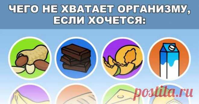 Чего не хватает организму, когда он требует чего-то особенного Организм человека — совершенная система, которая четко контролирует работу всех органов. И если он начинает испытывать нехватку определенного вещества, то начинает сигналить о возможных проблемах со з