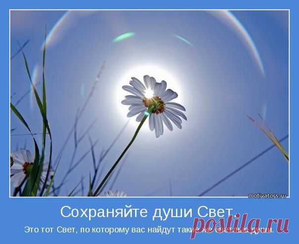 ╭დ╯СВЕТ ДУШИ╭დ╯