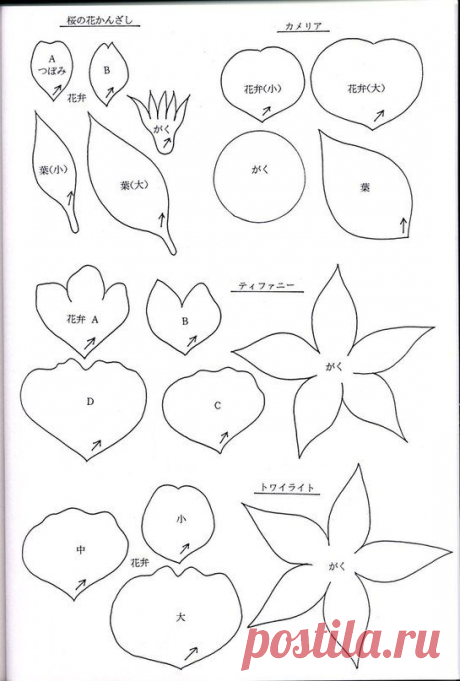 (1232) Pinterest