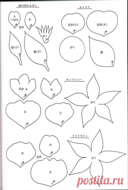 (1232) Pinterest