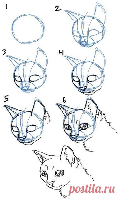 Уроки рисования - кошка.