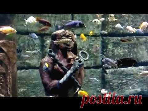 РЕЛАКСАЦИЯ...ОСТАНОВИСЬ!ПОСЛУШАЙ!ОТДОХНИ!!!.