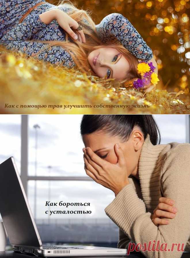 Странички советов | Записи в рубрике Странички советов | Странички жизни