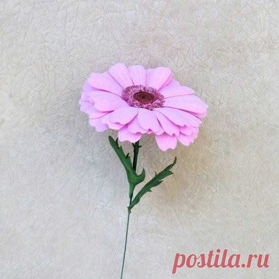 (8) Одноклассники