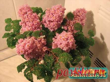 Сирень из бисера. Схемы