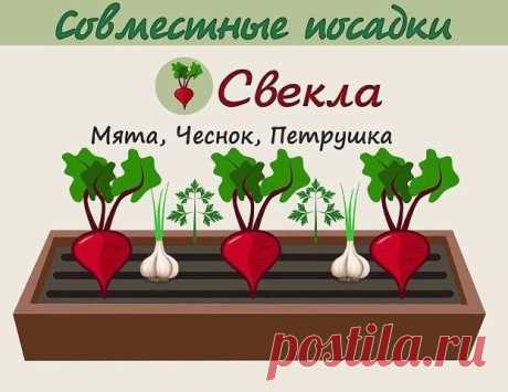 Анна Патренкова