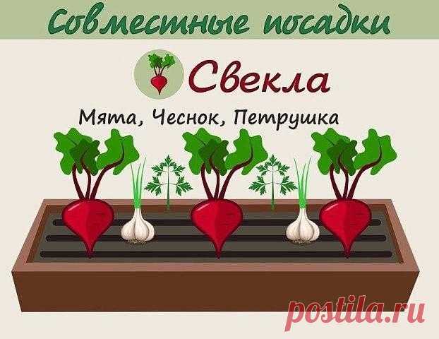 Анна Патренкова