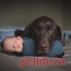 Because who doesn't love a gentle giant <> baby scenario. The cutest!  @nicmmiller
