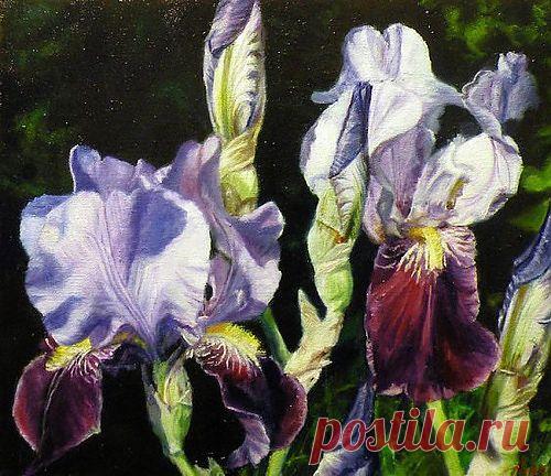 Художник Светлана Бердник (31 работ) » Картины, художники, фотографы на Nevsepic