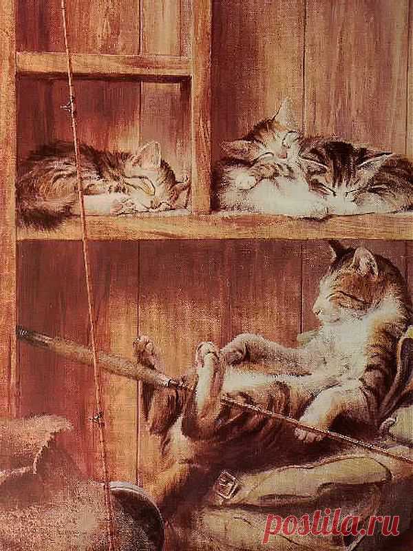 Кошачья тематика.Paul Monteagle