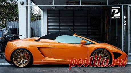 (62) Елена Петрова - Lamborghini Gallardo LP560