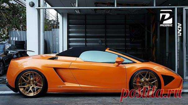 (62) Елена Петрова - Lamborghini Gallardo LP560