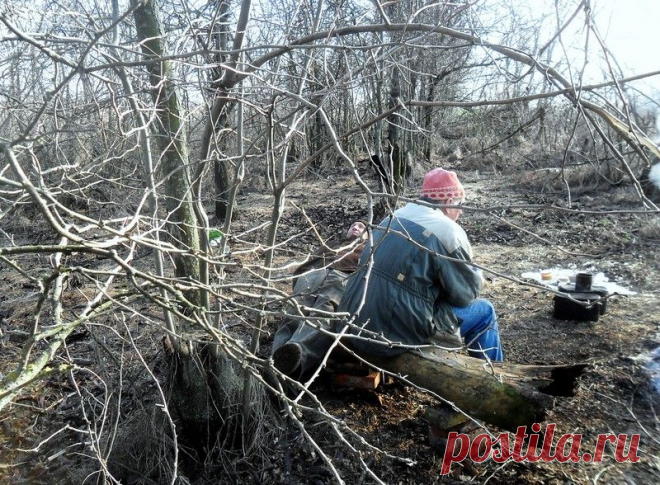 Кубань зимняя... с велосипедом - 14 Ноября 2015 - Персональный сайт