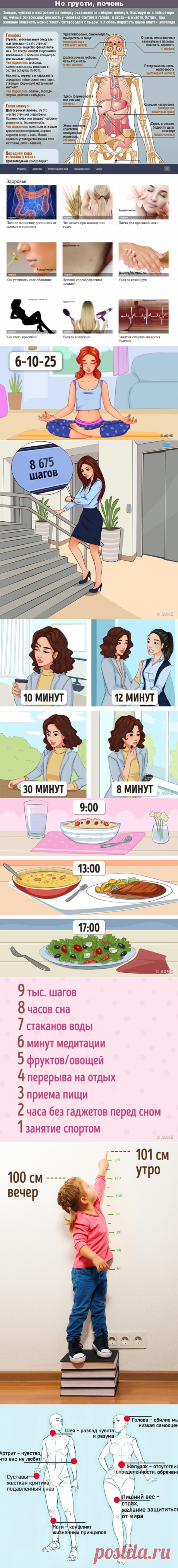 ЗДОРОВЬЕ✅мифы советы факты*▰▰▰▰ | Тая😍😻ღ•°˜”*°•.♥.•  Туман✔  | Фотографии и советы на Постиле