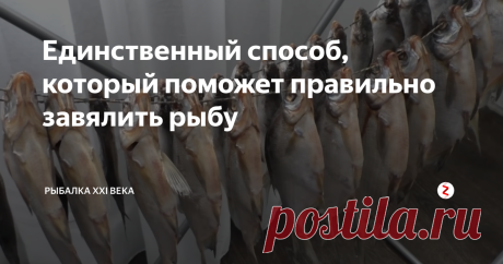Единственный способ, который поможет правильно завялить рыбу Так же расскажу небольшие хитрости и секреты, о который нужно обязательно знать.
Сразу расска