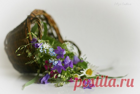 КАКОЙ СЕГОДНЯ ПРАЗДНИК? 22 Марта 2018 г. – Четверг • День водкохлебов • Международный день таксиста111 лет • День Кап-кап-капели • День Балтийского моря32 года • Всемирный день водных ресурсов25 лет • День 40 Севастийских мучеников • Национальный день валяния дурака - США • День отмены рабства - Пуэрто-Рико • День Лиги арабских государств • Национальный день корн-дога - США • Именины у Ираклия, Леонтия, Александра, Дмитрия, Михаила, Афанасия, Сергея, Кирилла, Николая, Валерия, Алексея, Петра,…