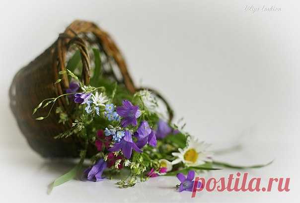 КАКОЙ СЕГОДНЯ ПРАЗДНИК? 22 Марта 2018 г. – Четверг • День водкохлебов • Международный день таксиста111 лет • День Кап-кап-капели • День Балтийского моря32 года • Всемирный день водных ресурсов25 лет • День 40 Севастийских мучеников • Национальный день валяния дурака - США • День отмены рабства - Пуэрто-Рико • День Лиги арабских государств • Национальный день корн-дога - США • Именины у Ираклия, Леонтия, Александра, Дмитрия, Михаила, Афанасия, Сергея, Кирилла, Николая, Валерия, Алексея, Петра,…