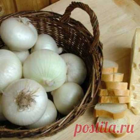 Лечебные свойства белого лука