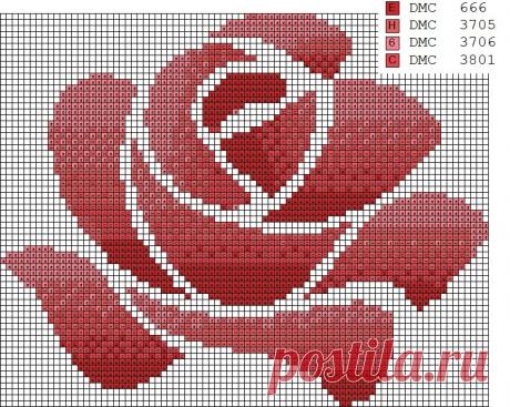 Идеи с жаккардом розы