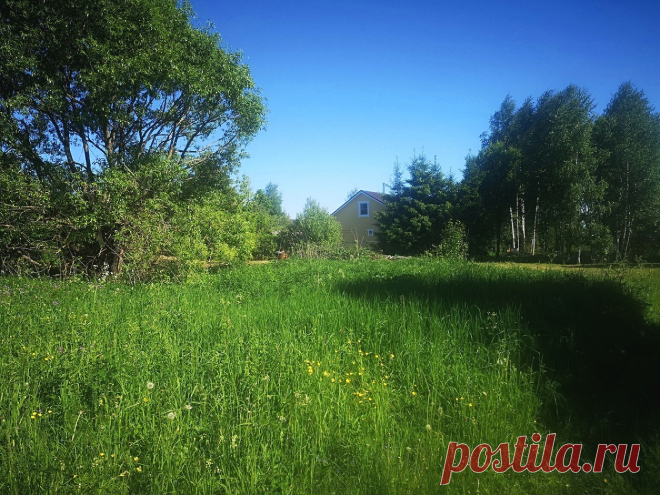#1031. Большое Плутково. Участок 25 соток (:1073) вблизи Нерли.