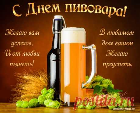 Любят все напиток этот,
Обожают, стар и млад,
Дорогие, пивовары,
Вы достойны всех наград.