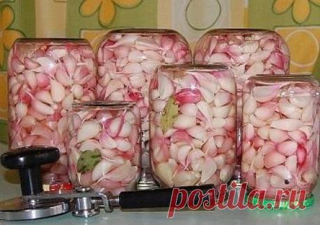 Маринованный чеснок холодный способ ! вкусняшка
Состав:
Чеснок – 1 кг
Вода – 600 мл
Сахар – 4 ст. л.
Соль – 4 ст. л.
Черный перец горошком – 7 шт.
Гвоздика – 10 бутонов
Уксус – 3 ст. л.

Приготовление:
Очистите овощ от верхнего слоя шелухи.
В отдельную кастрюлю добавьте воду, сахар, соль, гвоздику и перец горошком. Вскипятите, снимите с огня кастрюлю и влейте уксус.
В стеклянную банку уложите рядами головки и доверху залейте маринадом.
Плотно закройте крышкой и уберите в п...