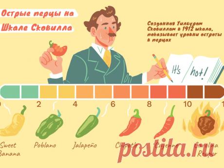 Сухой острый перец - как использовать на кухне.