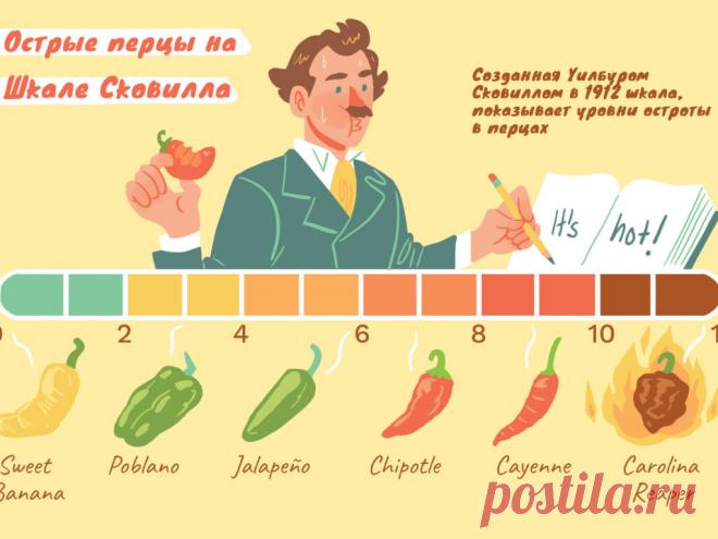 Сухой острый перец - как использовать на кухне.