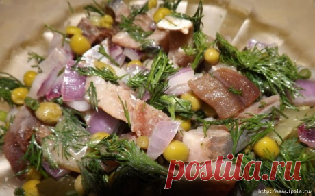 Вкусные недорогие салаты к новогоднему столу