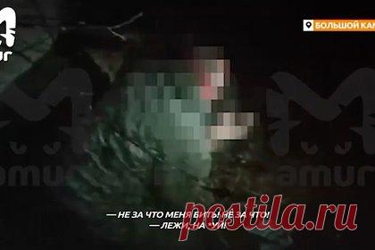 Российские школьники толпой жестоко избили бездомного и попали на видео. В Приморском крае школьники толпой напали на бездомного и жестоко его избили. На него несовершеннолетним пожаловалась подруга. По версии девочки, мужчина неприлично ее обозвал. Издевательства подростков попали на видео, соответствующие кадры опубликовал Telegram-канал Amur Mash.