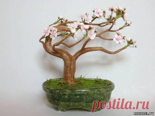 Сакура из полимерной глины, мастер класс по керамической флористике. - Цветы из полимерной глины - Полимерная глина - Каталог статей - Рукодел.TV