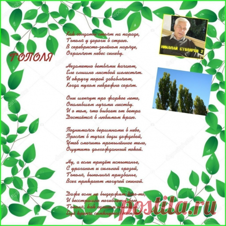 ТОПОЛЯ ~ Плэйкасты ~ Beesona.Ru