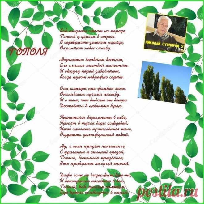 ТОПОЛЯ ~ Плэйкасты ~ Beesona.Ru