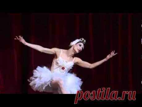 Hillarious Parody of Michael Fokine's Choreography of THE DYING SWAN. Dancer - Ida Nevaseyneva.