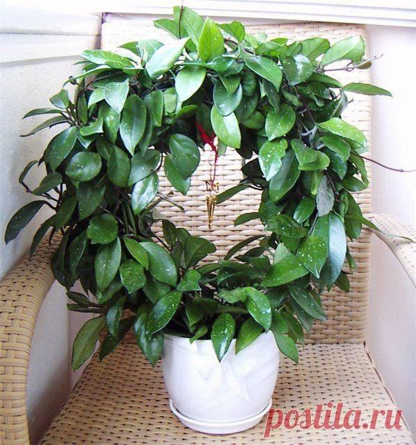 САДОВАЯ ФЕЯ - . Дача. Сад и Огород